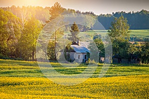 Countryside landscape, beautiful sunny afternoon