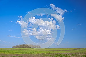 Countryside landscape with blue sky 1