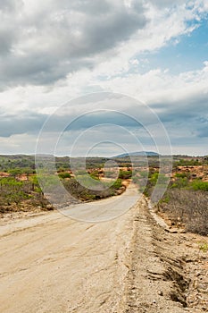 Countryside landscape at Cariri, Paraiba, Brazil