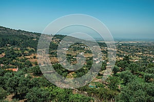 Countryside landscape covered by wooden hills and fields