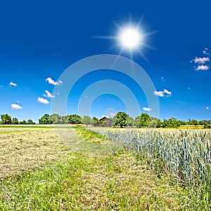 Countryside. landscape with field and blue sky