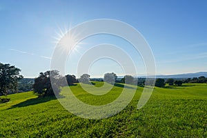 Countryside landscape with green fields with trees, shadows, bushes and green grass and sun behind under blue sky