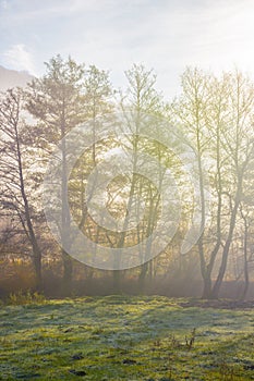 Countryside landscape on a misty sunrise