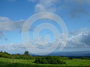 Countryside Landscape on the Mountain Slopes of the Big Island Hawaii