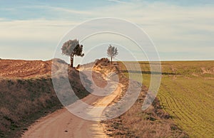 countryside landscape and off road