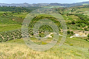 Countryside landscape in Ronda