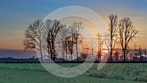 Countryside landscape with a row of trees and a colorful sundown, Weelde, Belgium