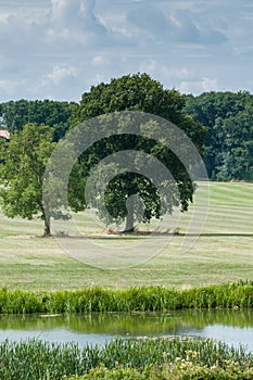 Countryside landscape in rural English countryside