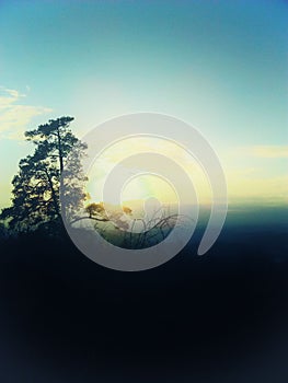 Countryside landscape with solitary dry tree at evening dusk