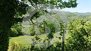 Countryside Landscape. Tuscany Holidays Italy 2022