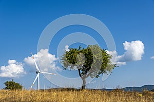 Countryside landscape in Val d`Agri, Basilicata