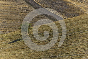 Countryside landscape in Val d`Agri, Basilicata