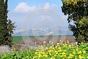 Countryside landscape with a view of the Jezreel Valley, Lower Galilee, Israel