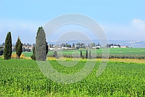 Countryside landscape with a view of the Jezreel Valley, Lower Galilee, Israel