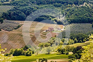 The countryside landscape with village houses, fields, vineyards and forest near Montepulciano, Tuscany, Italy.