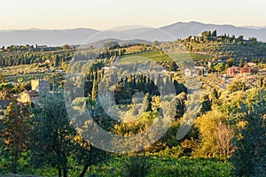 Countryside landscape, Vineyard in Chianti region. Tuscany. Italy