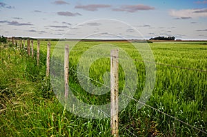 Countryside landscape with a wire fence in the foreground and planted fields behind photo