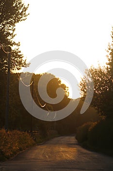 Countryside lane evening light on telegraph wires