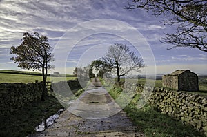 A countryside lane in Lancashire