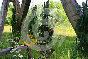 Countryside Medicinal Plants Drying Strings, Herbalism. Holistic Healing Herbs. Rural Wooden . Herbal. Agriculture, Flowers .