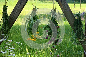 Countryside Medicinal Plants Drying Strings, Herbalism. Holistic Healing Herbs. Rural Wooden . Herbal. Agriculture, Flowers .