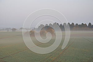 the countryside in the mist at Plerin