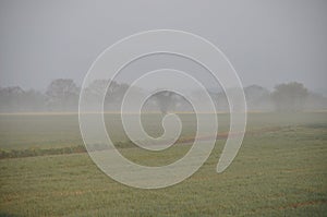 the countryside in the mist at Plerin