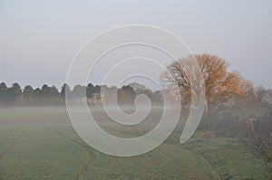 the countryside in the mist at Plerin