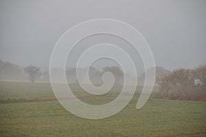 the countryside in the mist at Plerin