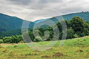 Countryside in mountain on a cloudy day