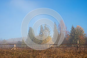 Countryside in mountains in the morning. grassy rural slopes with fields and trees in fall foliage. beautiful autumn scenery with