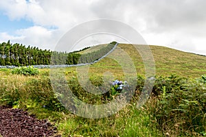 Countryside near FajÃ£ Grande on the island of Flores in the Azores, Portugal