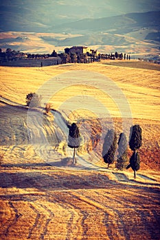 Countryside near Pienza, Tuscany