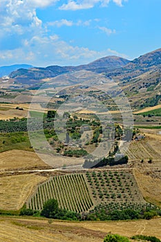 Countryside near Sambuca Di Sicilia Sicily Italy  photo