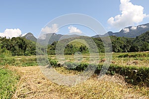 Countryside near Tad Mok Waterfalls photo