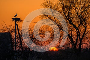 Campagna arancia tramonto 