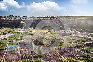 Countryside orchards for subsistence agriculture production. Empty copy space for Editor`s text. Drone shot