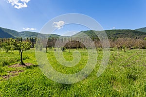 Countryside - Orpiano - Macerata - Marche - Italy