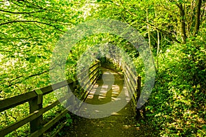 A Countryside Pathway and Wooden Bridge at Barnard Castle