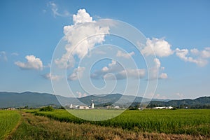 Campagna un campo sul blu. bianco nuvole galleggiante Attraverso montagne 