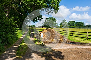 Countryside road