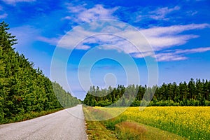 Countryside road along yellow rapeseed flower field and blue sky in rural Finland