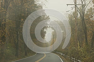 Countryside road alongside the yellow autumn trees on a foggy misty day