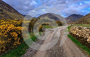 Countryside road with beautiful landscape