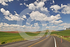 Countryside road in Colfax