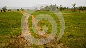 Countryside road through green field.