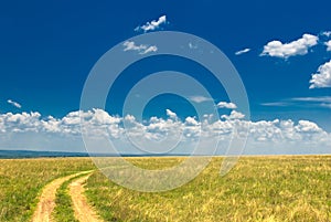 Countryside road, green grass and blue sky