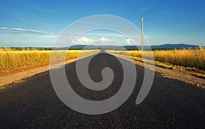 Countryside road in Hungary