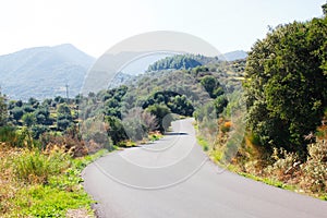 Countryside road in Messinia region