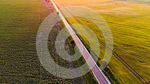 Countryside road with no cars between two corn fields